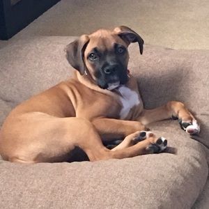 Meet your Posher, Linda